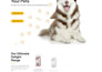 build pet shopify store setup pet website design dog cat shopify store redesign